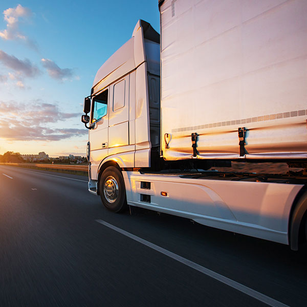 Transleyca Transporte